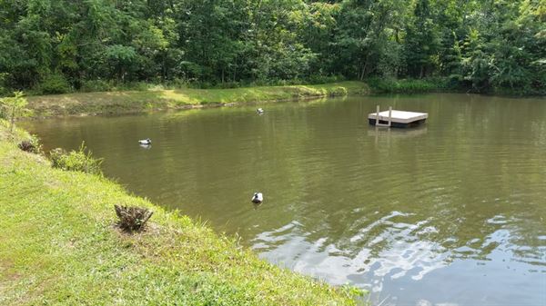 The Land Celebration