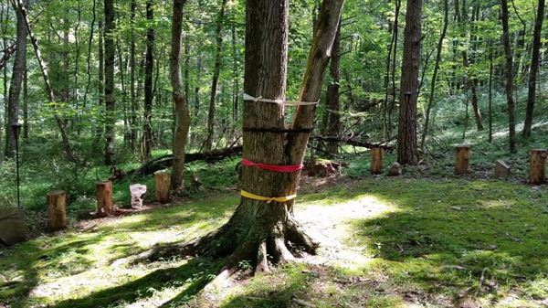 The Land Celebration