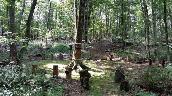 The Land Celebration