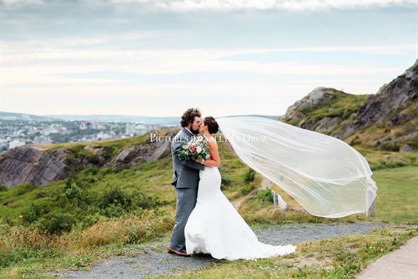 Pictures by Sally LeDrew