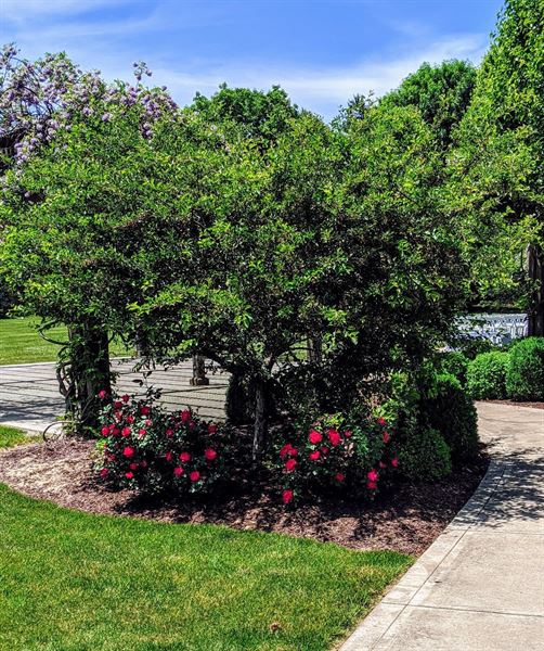 Goeglein's Reception Hall