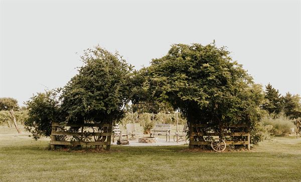 Rogge Family Vineyard