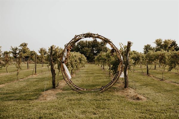 Rogge Family Vineyard
