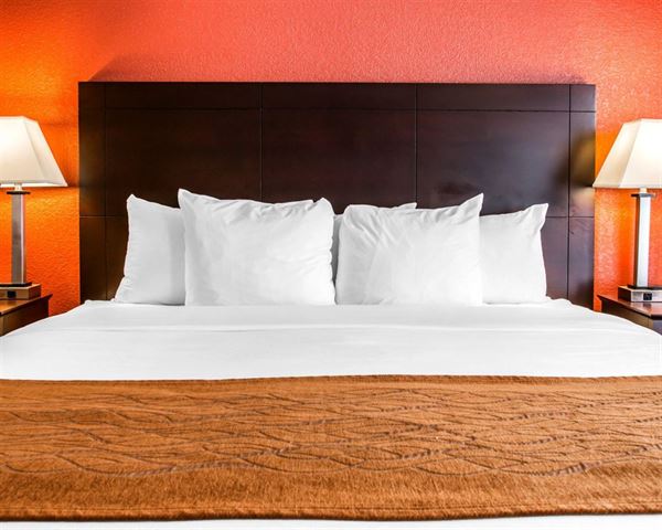 Mt. Pleasant Comfort Inn & Suites Hotel and Conference Center