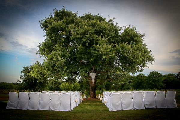 The Meadows Wedding Venue