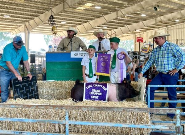 Lake County Fair