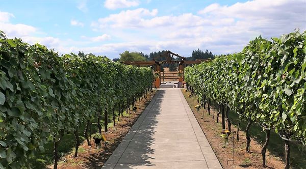Jacquot Vineyard