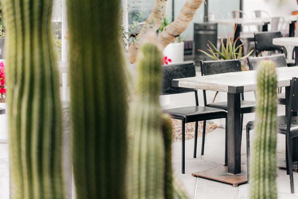 Workshop Kitchen + Bar