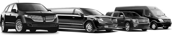 Teltrans Transportation