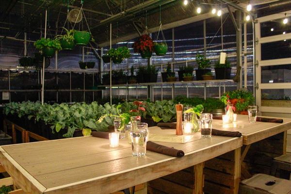 The Feedery at Grow + Gather
