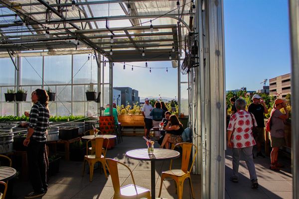 The Feedery at Grow + Gather