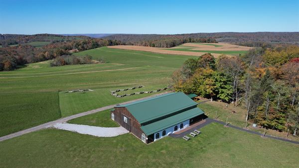 The Back Farm on Piney Run