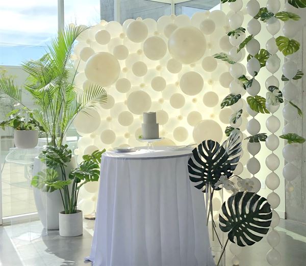 Kameron Messmer Entertainment