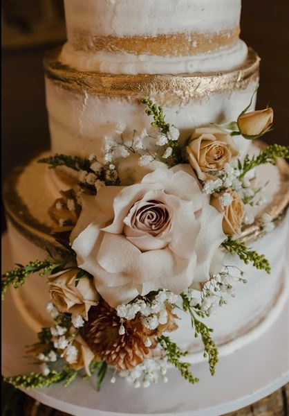 Truly Captivating Photography