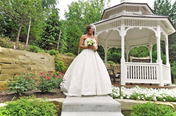 Ann Arbor Regent Hotel and Suites