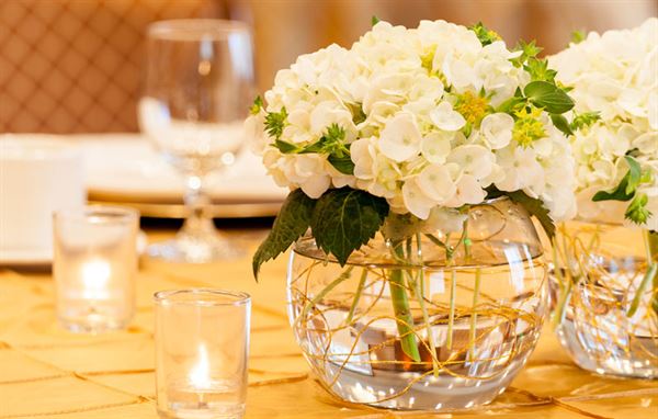 Ann Arbor Regent Hotel and Suites