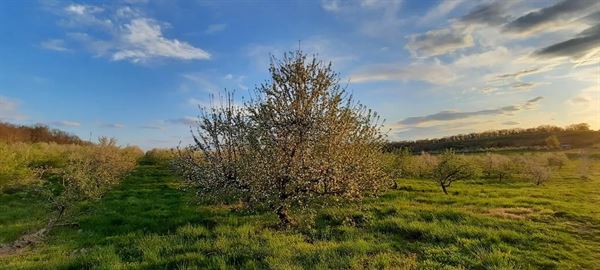 The Homestead Farm Historic Wright-Barton Venue