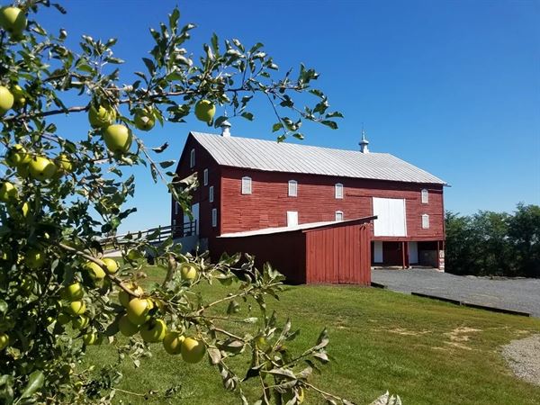 The Homestead Farm Historic Wright-Barton Venue
