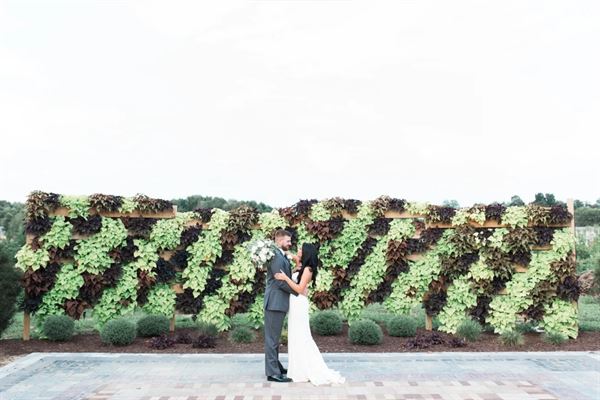 Buchwalter Greenhouse