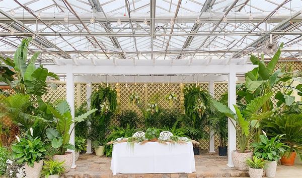 Buchwalter Greenhouse