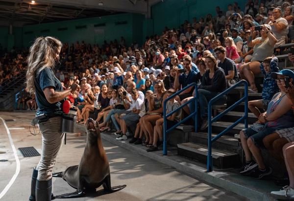 Mystic Aquarium & Institute For Exploration