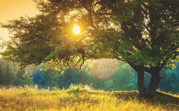 The Lodge at Moss Neck