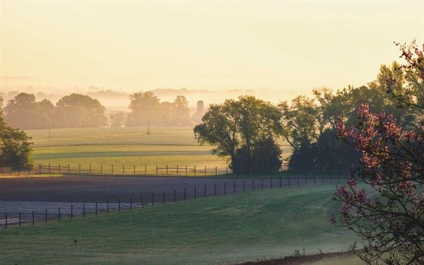 The Lodge at Moss Neck
