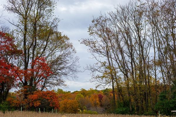 Aix La Chapelle Farm