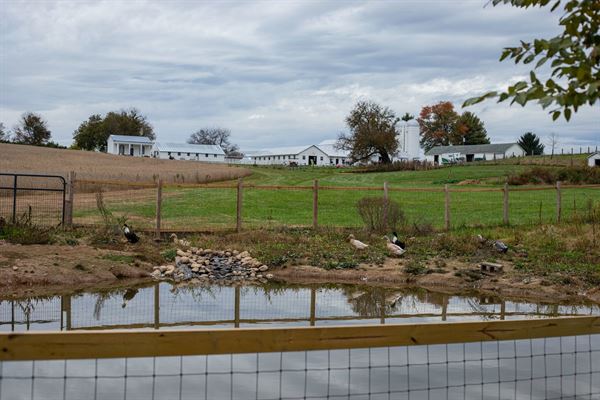 Aix La Chapelle Farm