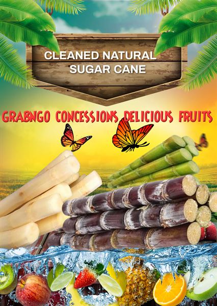 Grabngo Concessions llc