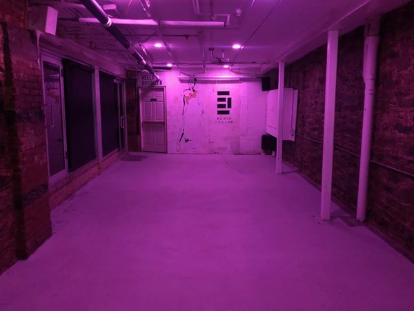 Black Cellar Venues