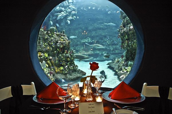 North Carolina Aquarium of Fort Fisher