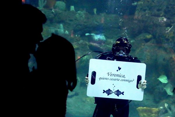 North Carolina Aquarium of Fort Fisher