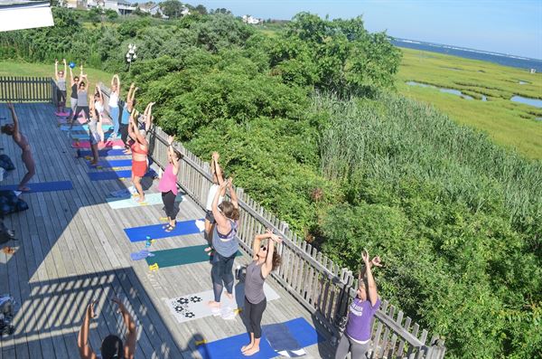 Long Beach Island Foundation of the Arts and Sciences