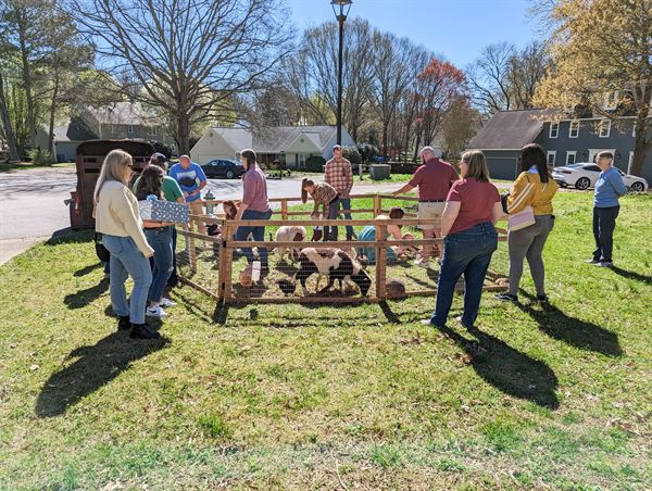 Celebrations to Remember LLC