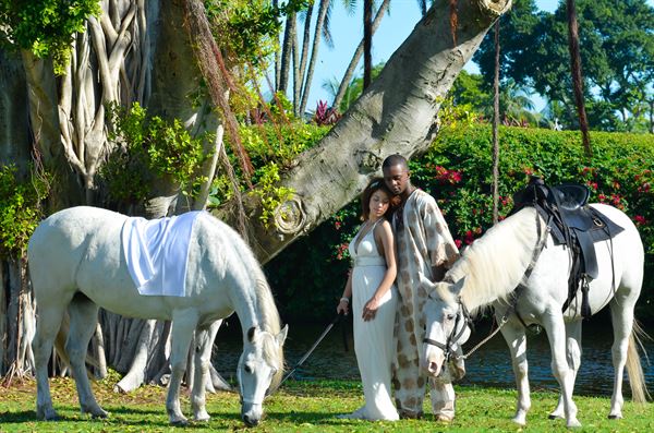 Partigliani Pro Studio