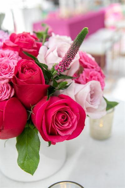 Paige Brown Photography