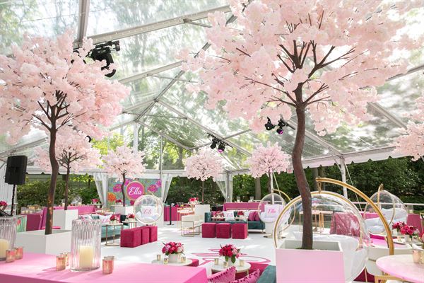 Paige Brown Photography