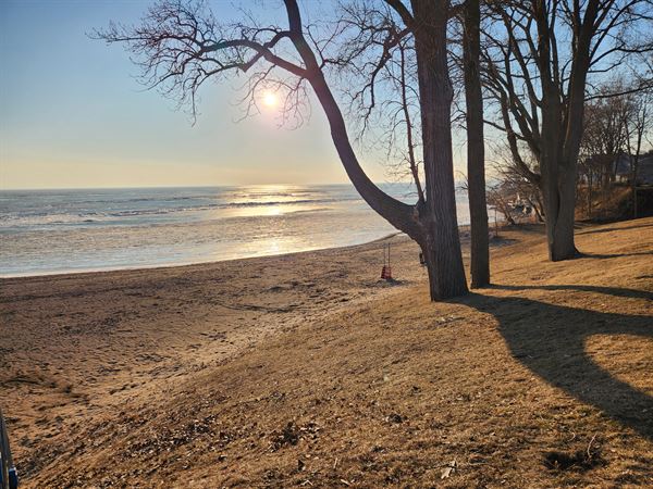 The Heart's Celebrations