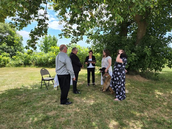 The Heart's Celebrations