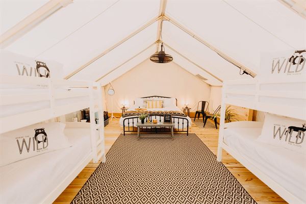 Timberline Glamping at Unicoi State Park