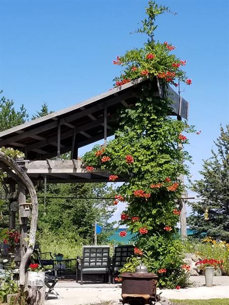 The Purple Martin Inn