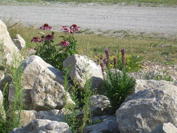 The Purple Martin Inn