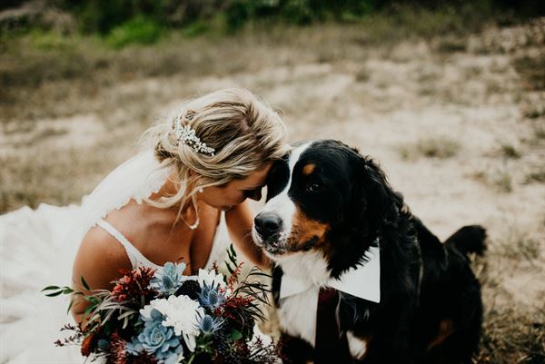 Sugared Lavender Barn & Wedding Venue