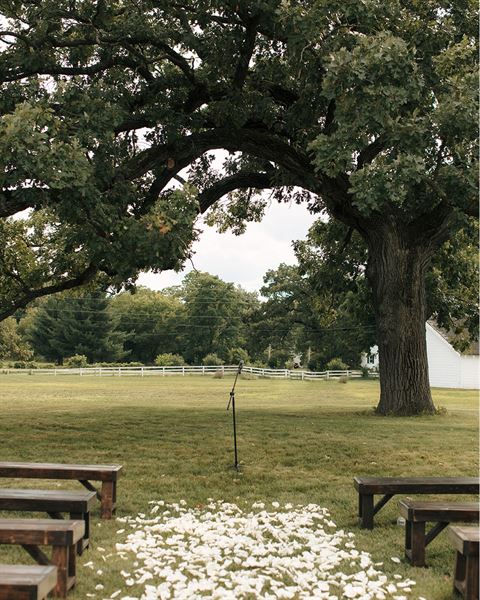 Lakewood Farms, Inc.