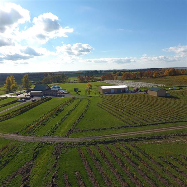 Coyote Moon Vineyards