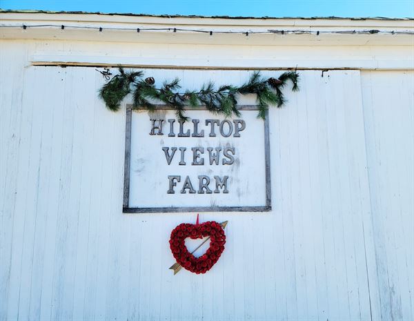 Hilltop Views Farm