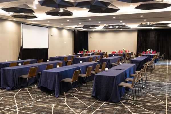 Aloft DFW Grapevine Coppell