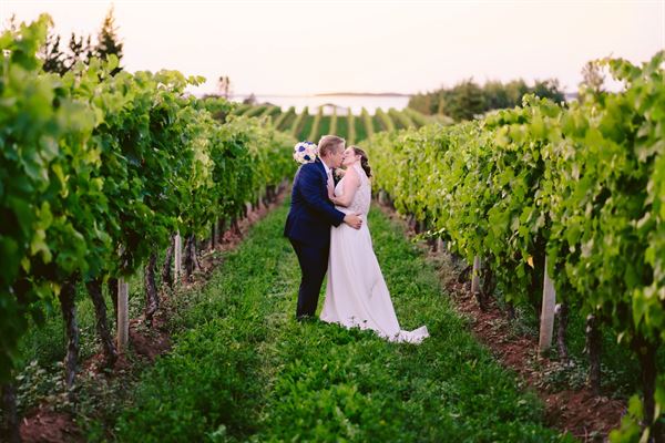 Beach Glass Photography