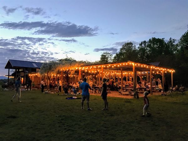 Chisholm Vineyards at Adventure Farm